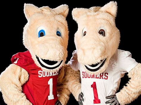 Boomer and Sooner: a visual journey through the iconic Oklahoma Sooners softball mascots